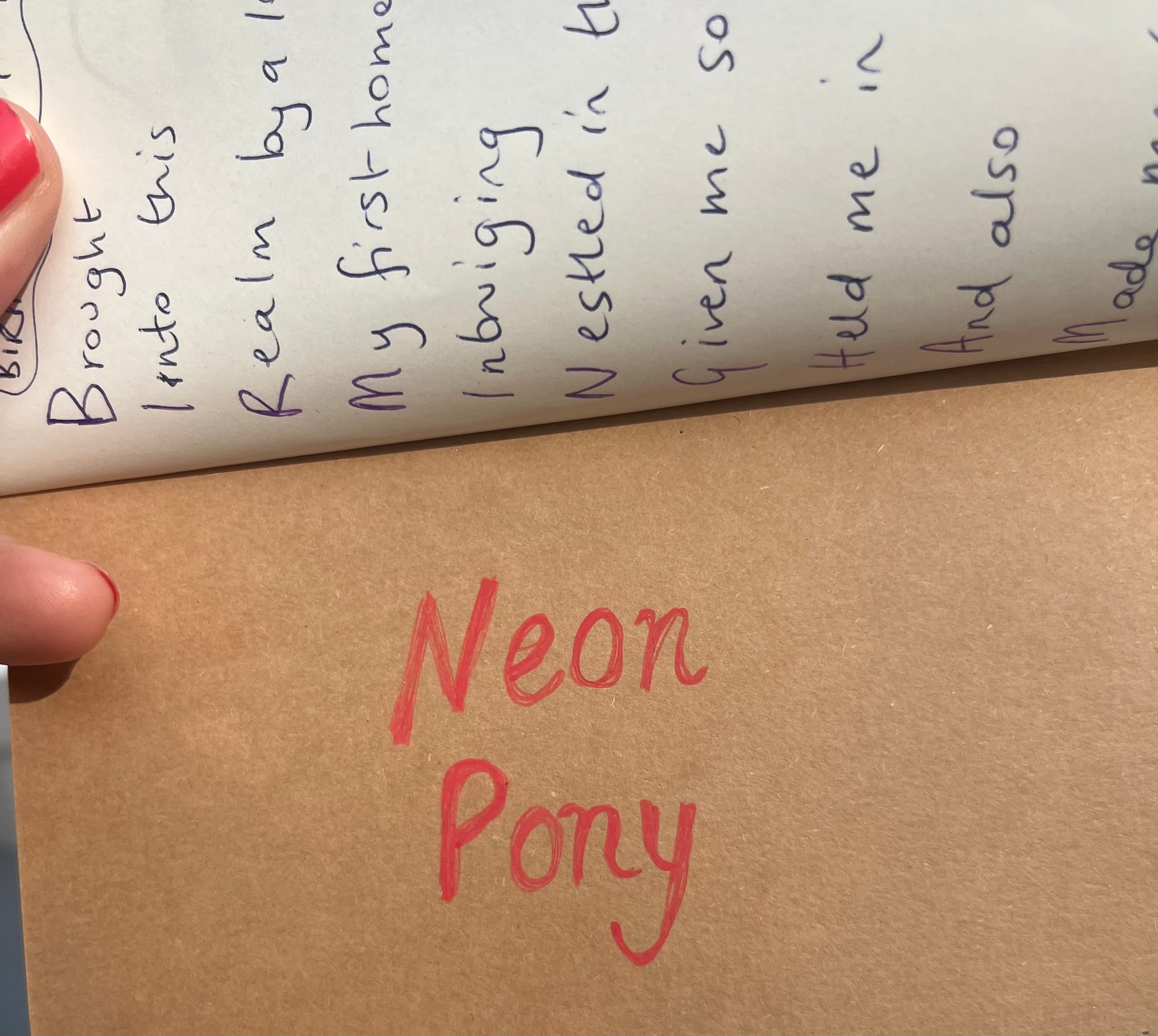 Neon Pony’s Noticings